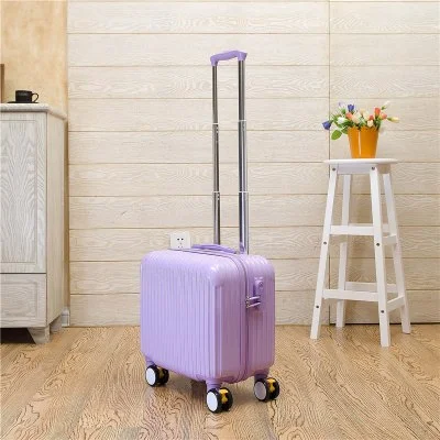 Purple Luggage